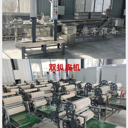 豆将军100斤豆腐皮机 不锈钢豆腐皮加工设备的技术开发与厂家实力解析