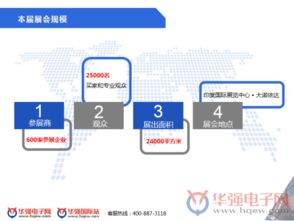 寻找发展商机 与华强电子网·华强国际站共探印度市场中的网络产品技术开发新路径